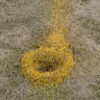 mmenton987